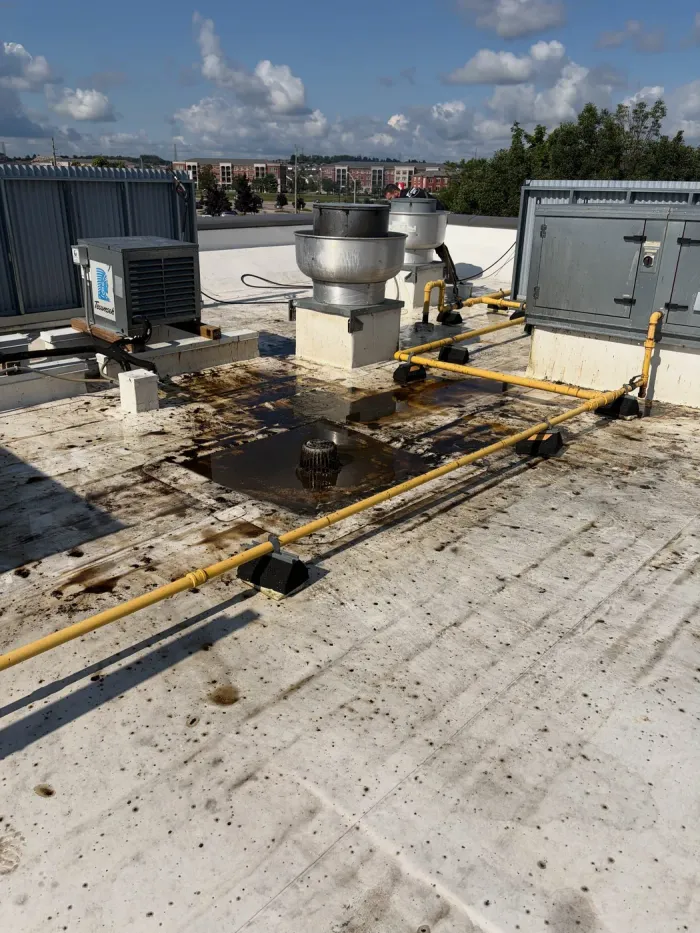 Commercial rooftop around the exhaust fans stained with dark grease runoff